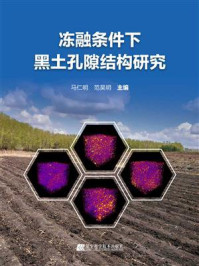 《冻融条件下黑土孔隙结构研究》-马仁明