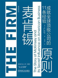 《麦肯锡原则:成就全球顶级公司的11条经验》-达夫·麦克唐纳