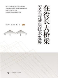 《在役长大桥梁安全与健康技术发展》-张宇峰