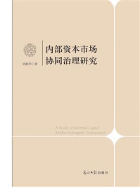 《内部资本市场协同治理研究》-周群华