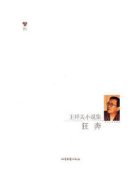 《王祥夫小说集:狂奔》-王祥夫