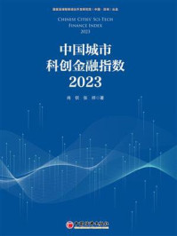 《中国城市科创金融指数(2023)》-肖钦