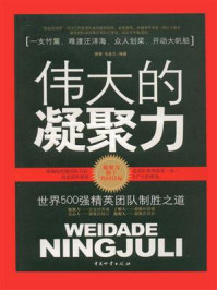 《伟大的凝聚力:世界500强精英团队制胜之道》-萧萧