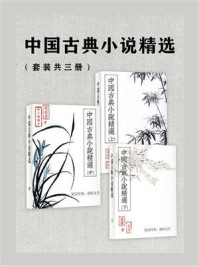 《中国古典小说精选(套装共3册)》-翁桂