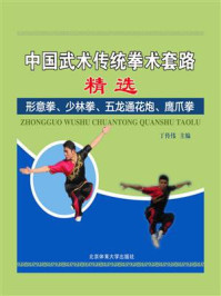 《中国武术传统拳术套路精选::形意拳、少林拳、五龙通花炮、鹰爪拳》-丁传伟
