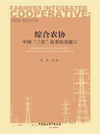 《综合农协:中国“三农”改革的突破口.2020—2021年卷》-杨团