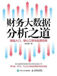 《财务大数据分析之道:基础入门、核心工具与应用实例》-张艺博