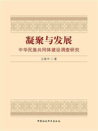 《凝聚与发展:中华民族共同体建设调查研究》-王延中