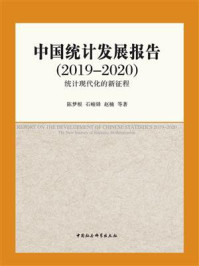 《中国统计发展报告(2019-2020):统计现代化的新征程》-陈梦根