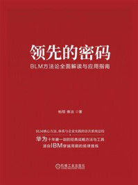 《领先的密码:BLM方法论全面解读与应用指南》-柏翔