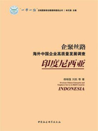 《企聚丝路:海外中国企业高质量发展调查(印度尼西亚)》-杨晓强