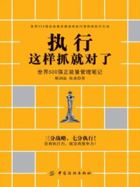 《执行这样抓就对了:世界500强正能量管理笔记》-姬剑晶