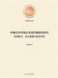 《环城市乡村地区多途径城镇化研究:发展模式、动力机制与质量评估》-钟栎娜
