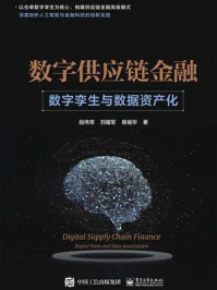 《数字供应链金融:数字孪生与数据资产化》-段伟常